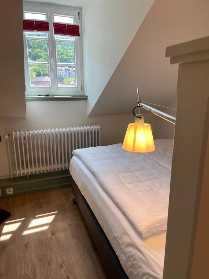 Palmbraeu Altstadt Appartments 海德堡 外观 照片